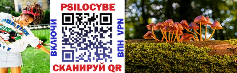 Псилоцибиновые грибы прущие грибы  Ростов 
